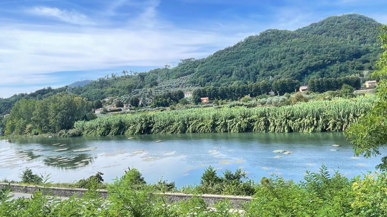 Apartamento Tra Gli Olivi Lucca Exterior foto