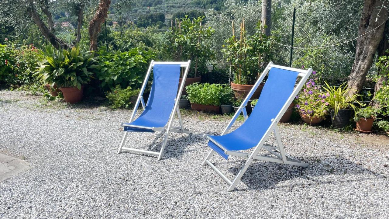 Apartamento Tra Gli Olivi Lucca Exterior foto