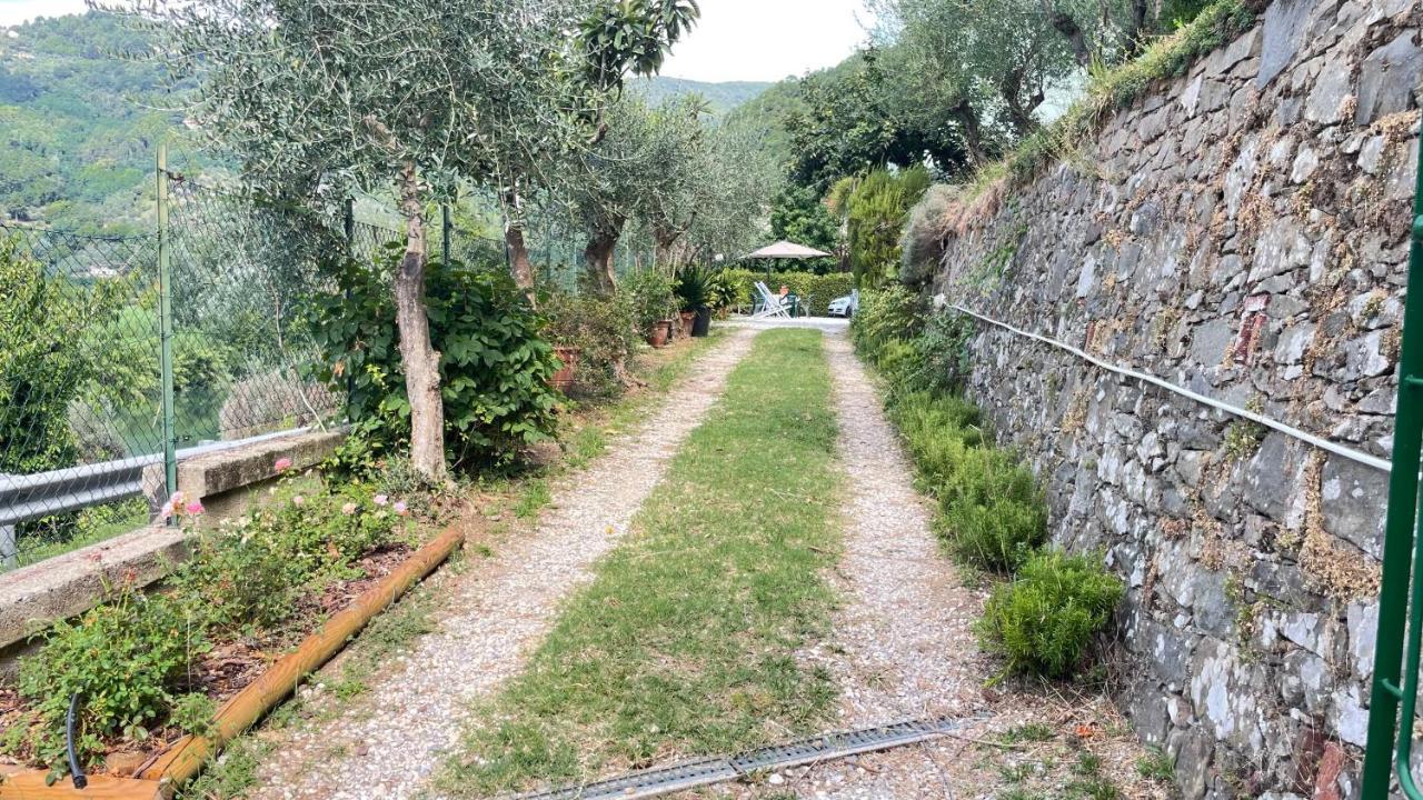Apartamento Tra Gli Olivi Lucca Exterior foto