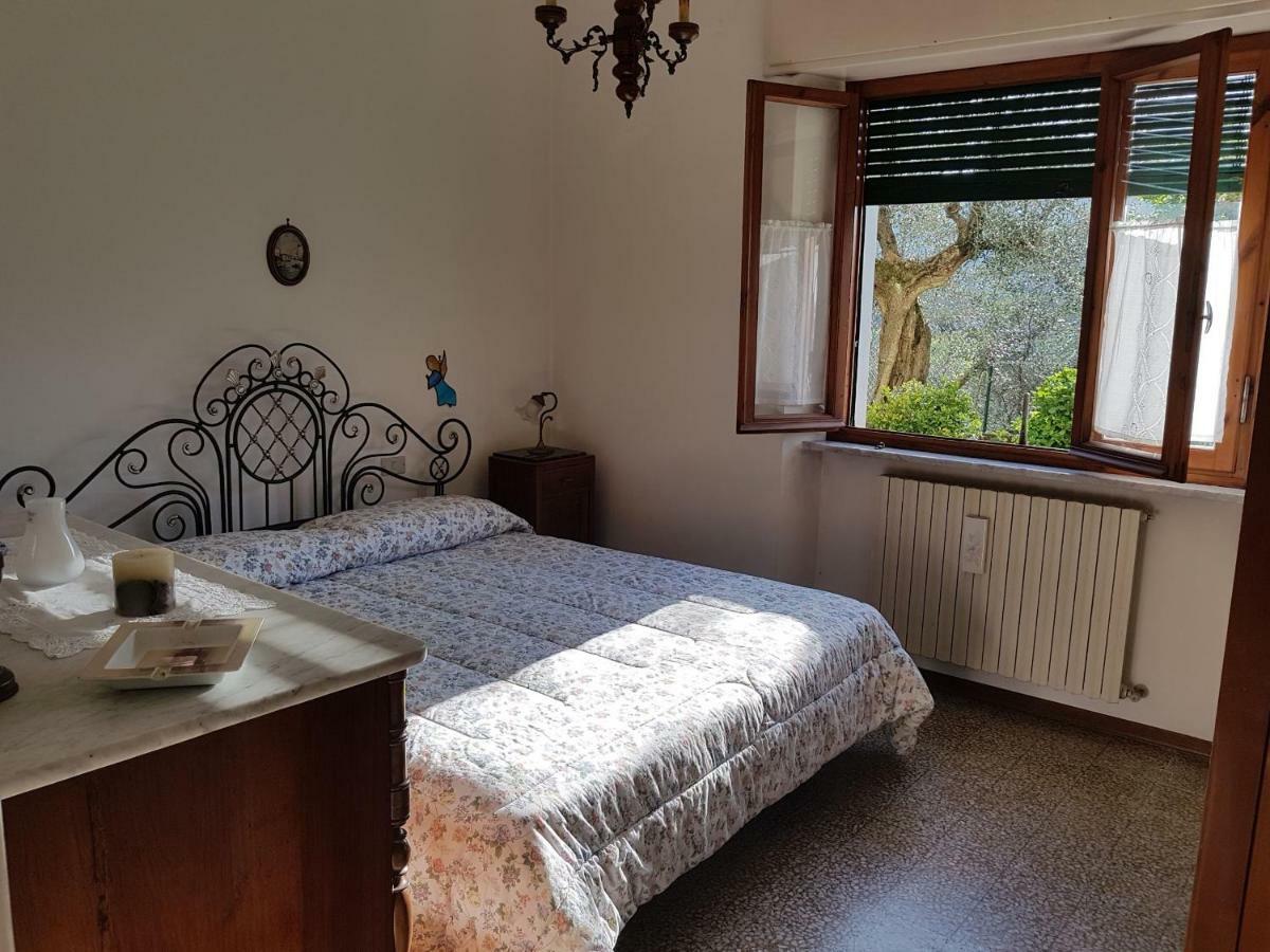 Apartamento Tra Gli Olivi Lucca Exterior foto